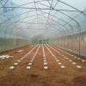 Buy cheap Gothique Tunnel Side Ventilation Tunnel Plastic Greenhouse With 2m Sliding Door from wholesalers