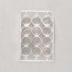 CE ISO TC Treated 12 Well Cell Culture Plate Flat Bottom Tissue Culture Treated