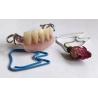 Buy cheap Hot Cured Removable Aesthetic Lower Partial Acrylic Denture from wholesalers