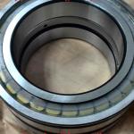 SL045024-PP-2NR Cylindrical Roller Bearing Single Row Roller Bearing 120x180x80m