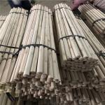PVC Coated Wooden Broom Stick 120cm Eucalyptus Solid Wood Mop Handle