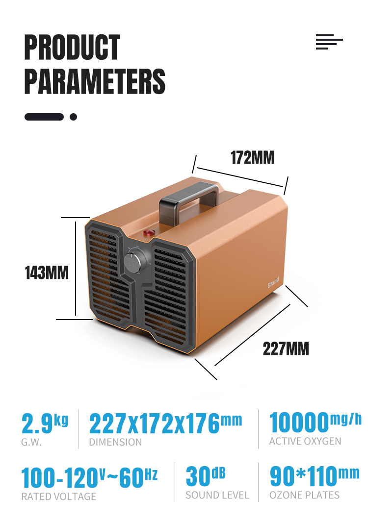 Fast Purification Ozone Generator Air Purifier Professinal 227x172x176 Mm