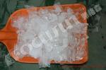 Commercial Stainless Steel 304 1000 lbs Plate Ice Machine for Hostels Made