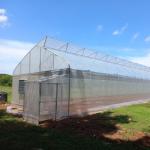 high performance High Tunnel Sawtooth Greenhouse Agricultural ISO9001
