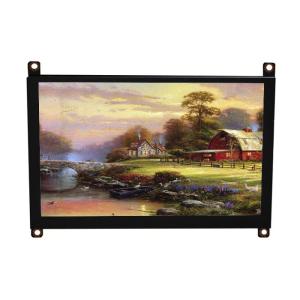 China 4.3'' Ips Wvga Lcd Tft Display With Hdmi Adapter Board 480x272 Driving Ic St7262 on sale