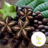 Buy cheap Cold Press Anti Aging Organic Sacha Inchi Oil For Skin Metabolism from wholesalers