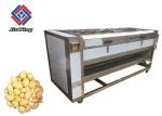 Carrots Washing And Peeling With Brush Factory Hot Sale Professional Potato