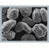 Buy cheap Li-Ion Batteries Hensen Graphite Anode Material High Purity from wholesalers