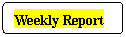 Weekly Report