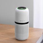HOMEFISH Anion Car Air Purifier USB Charge DC5V/1000mAh