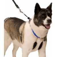 Buy cheap No Pull Dog Training Leash Halter Pet Lead Nylon Webbing Stress Free Multicolour product