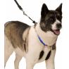 Buy cheap No Pull Dog Training Leash Halter Pet Lead Nylon Webbing Stress Free Multicolour from wholesalers