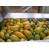 Buy cheap High Efficient Fruit Jam Production Line / Commercial Jam Making Equipment ISO9001 Approved from wholesalers