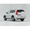 Buy cheap Great Wall Haval Off Road Vehicle SUV Gasoline 5-Seater 7-Seater Rear Drive Four Wheel Drive 4×4 Automatic from wholesalers
