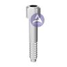 Buy cheap MegaGen EZ PLUS® Dental Implant Abutment Titanium Screw Fits Mini/ RP/ WP from wholesalers