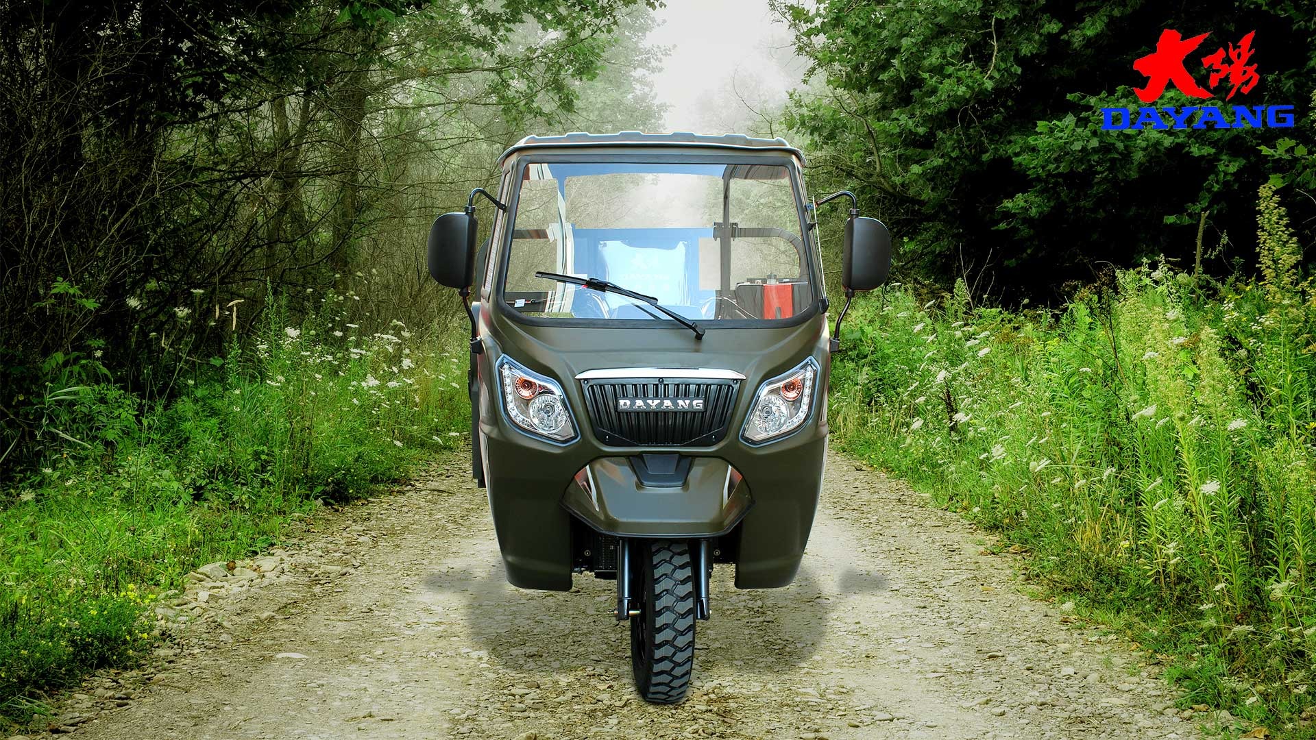 Motorized Tricycles with 5.0-12 Tire Size and Single Cyclinder 4 Stroke Engine Type