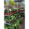 Buy cheap Dutch Trolleys Shelf CC Racks from wholesalers