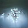 Buy cheap Good price IP67 Waterproof LED Pixel Light DC12V 0.2W with 30000 Hours Lifespan Outdoor Decoration Changeable from wholesalers