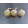 Buy cheap Frozen Arrowhead Slices(bell, pine cone, hexagon - shaped ) for food decoration from wholesalers