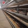 Buy cheap 3Rows 28sets / Row A Type Wire Poultry Cage Farming Hens Equipments from wholesalers