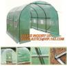Buy cheap Economic Small Windscreen Green Garden House,vegetable greenhouse hoop green house,small Garden Greenhouse for Indoor pl from wholesalers