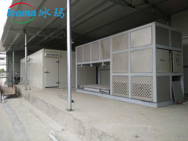 Emerson 3 Ton Directly Cooling ICEMA Containerized Block Ice Plant