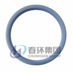 21Mpa Ptfe Flat Gasket