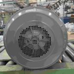 Alumninum High Efficiency Electric Motor With NEMA Premium