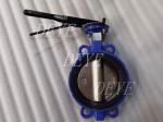 PN10 PN16 PN25 Water Valve Ductile Iron GG25 GGG40 GGG50 Lug Butterfly Valves