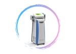 Factory price professional body slimming weight loss cryolipolysis fat freezing