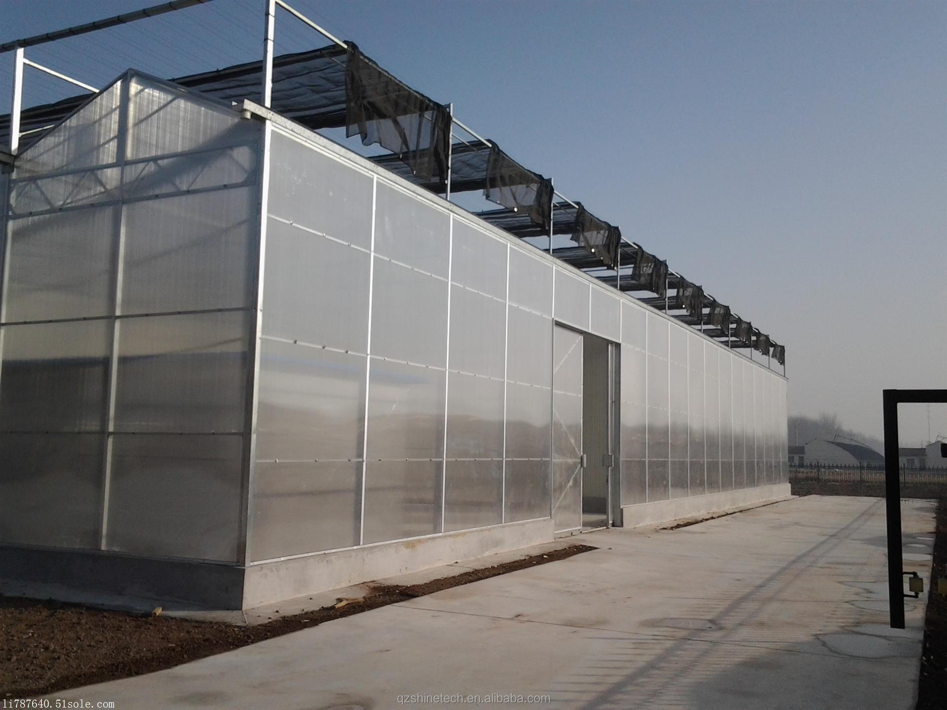 Sturdy And Large Greenhouse Agriculture Polycarbonate With Galvanized Steel Frame