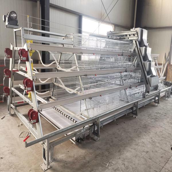 Buy cheap Cold Hot Galvanized A Type Broiler Baby Chick Cage High Feeding Efficiency from wholesalers