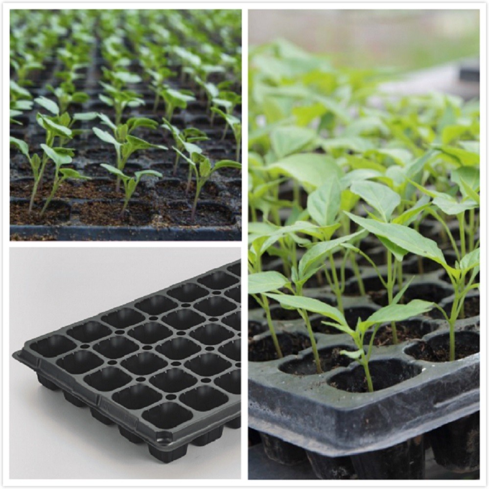 convenient and eco-friendly plastic nursery pots plant growing trays Seed grow 72 Cell Seedling Starter Tray in custom d