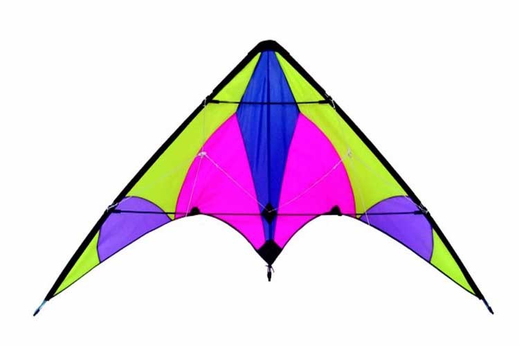 Autumn polyester Delta stunt kite , 120~180cm wing span for kids and adults