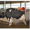 Buy cheap Powerless Massage Itch Brush Cow Scratch Farm Pasture Cattle And Sheep Brush from wholesalers