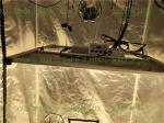 Aluminum Quantum Board 650w UV Led Hydroponic Grow Lights