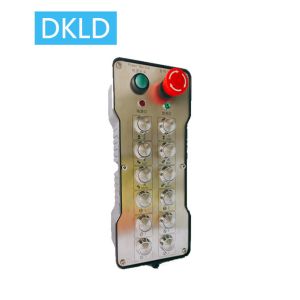Twelve-way dual speed switch industrial remote control