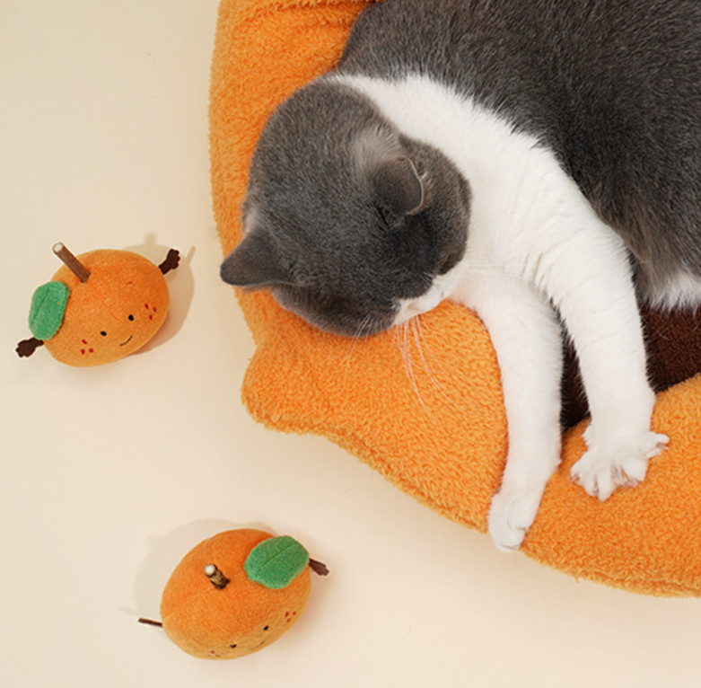 nice cat beds