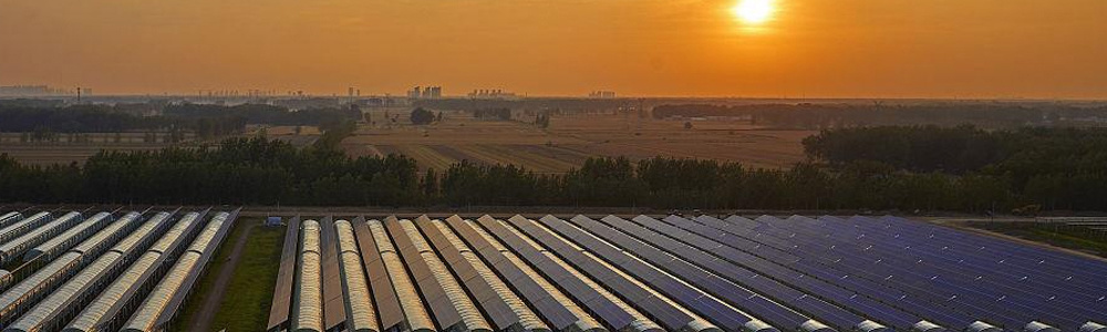 PE/Po Plastic Film Photovoltaic Solar Greenhouse