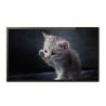 Buy cheap Vertical 65 Inch Wall Mounted Digital Signage / Bank Entrance Video Wall Monitors from wholesalers