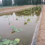 Double Smooth HDPE Geomembrane Waterproof for Smooth Fish Ponds and Landfill