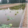 Buy cheap Double Smooth HDPE Geomembrane Ideal for Waterproofing in Anti-Seepage Engineering from wholesalers
