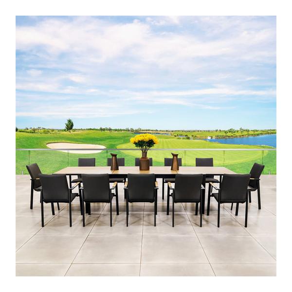 Buy cheap Extendable Teak Wood Tabletop Outdoor Dining Set for 12 Seat Cushioned Outdoor Chairs from wholesalers