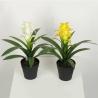 Buy cheap Multicolour Guzmania Flexible Glue Artificial Bonsai Tree 44 CM 56 CM from wholesalers