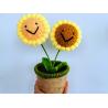 Buy cheap New Creative Luxury Handmade Crochet Knitting Plants Flowers Handicraft Home Decorations Crochet Flower from wholesalers