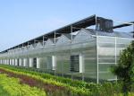 Steel Plastic Double Arch Beam Design Greenhouse For Vegetables