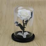 Beautiful Rose Flowers Everlasting Rose Preserved Flower Eternal Rose in Glass