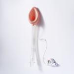Customized Laryngeal Airway Masks LMA Anesthesia General