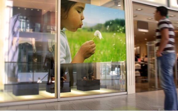 Buy cheap Transmittance Advertising Rear Projection Film 100um For Daylight Display from wholesalers