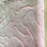 Buy cheap Hot sale super soft blaket fabric bone cutting cute TV blanket fabric from wholesalers